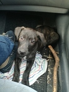 taki bylem jak mnie Pani za...