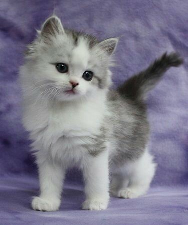 ♡♡♡