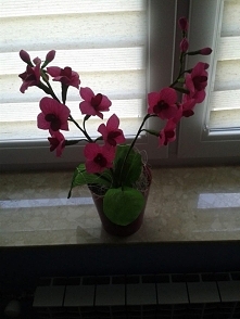 Storczyk z bibuły w doniczce