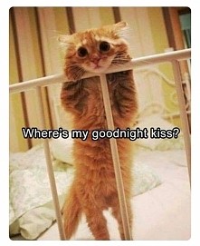 goodnight kiss :)