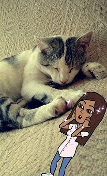 moja mała miłość 