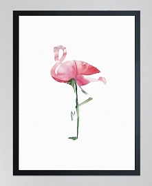 FLAMING- poster, seria PTAKI