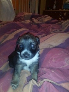 Jeden z moich 7 słodziaków