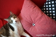 Poduszka z guzikiem DIY