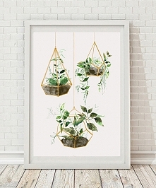 ilustracja botaniczna | A3