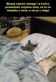 kotek sie zadomowił :D