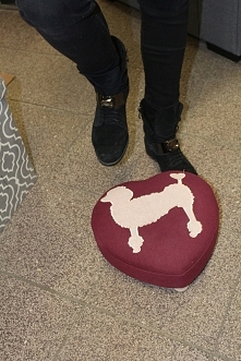 PUDEL<3 PODNÓŻEK <3 P...