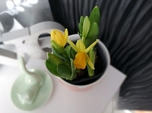 Kto marzy już o wiośnie? Ja bardzo :) Dziś na blogu ubrałam moje pragnienie wiosny w słowa :) i opisałam moje przygotowania. Zapraszam :)