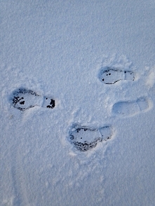 #ślady#❄️❄️❄️