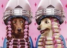 Idzie wiosna, może pora na ...