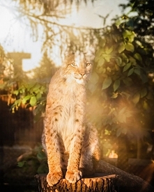 Fotograf: Agnieszka Kowalczyk
Instagram: @morphine.drop

Zapraszam do śledzenia mojej fotograficznej przygody :)
Kliknij w zdjęcie