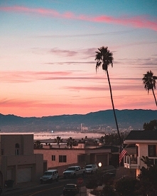 One day your dreams could be a reallity,but you must work for it.