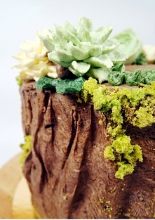 Porośnięty mchem tort z owoców leśnych.