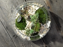 W małej kuli też można stworzyć małą kompozycję. Na bovem.eu znajdziesz wiele ciekawych wazonów do stworzenia swojej własnej kompozycji!