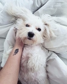 angel mom...
instagram: oli...