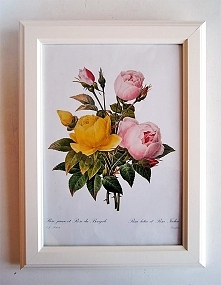 natura vintage