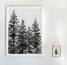 Las | 50x70 cm