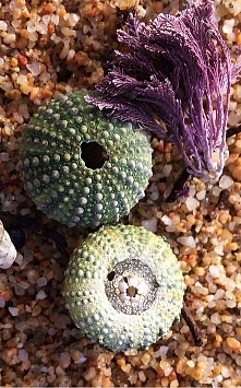 costa brava - plaże o cuda ...