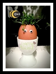 Franek lecą na niego nawet ...