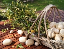 Wierzbna niedziela. Вербное воскресенье.