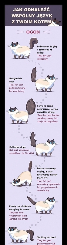 Jak znaleźć wspólny język z...