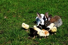 fotografia moją pasją