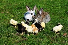 fotografia moją pasją