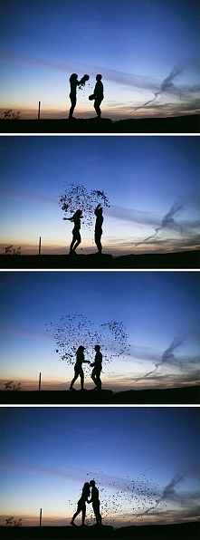 Portal Weselnapolska.
Zdjęcia ślubne, inspirujące ujęcia.