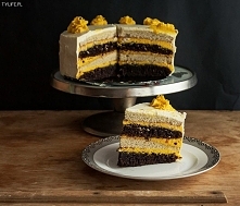 Tort dyniowy.