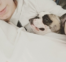 buldog ❤ tak wygląda miłość :)