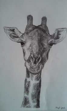 Żyrafa <3