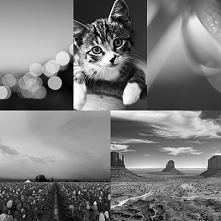 #photo #joined #spring