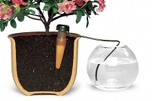 Blumat do roślin domowych.