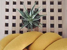 musztardowa poduszka supeł 