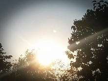 pierwsze - motyle montownia...