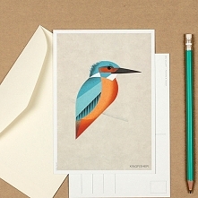 Pocztówka, zimorodek, kingfisher, ptak