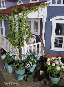 smalldreamspoland.blogspot.com