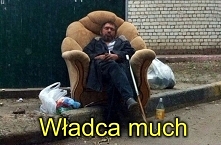 Władca much - król na osiedlu