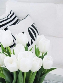 białe tulipany