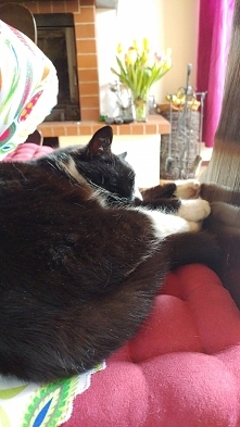 Spokoj, wygoda i bezpieczenstwo :)