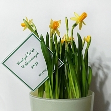 Wesołych Świąt Wielkanocnych życzy SOPSI !