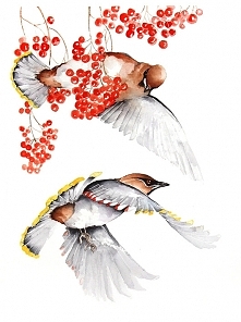 Jemiołuszki - plakat, reprodukcja A3