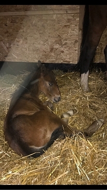 No i doczekałam się kolejne...