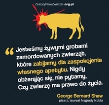 George Bernard Shaw - pierwsza osoba uhonorowana Oscarem i Nagrodą Nobla.
