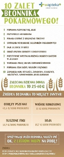 Błonnik