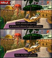 PINGWINY Z MADAGASKARU – ZEMSTA JEST SŁODKA (2009)