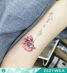 Czy ktoś wie co oznacza napis?