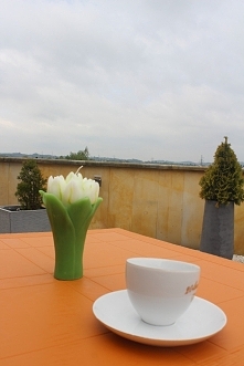 Meble rattanowe wyróżniają się dużą odpornością na uszkodzenia, są również bardzo trwałe. Nawet intensywne ich eksploatowanie sprawia, że przez długie lata pozostają w świetnej ...