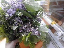 rolki w szkole, tresura Kota i ginekolodzy - czyli kolejny tygodnik. Zapraszam :) (kliK)