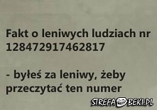 XDD